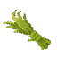 Plant Fiber