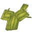 Plant Cactus Flat 3