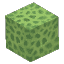 Plant Coral Block Lime