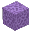 Plant Coral Block Purple