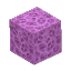 Plant Coral Block Violet