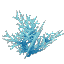 Plant Coral Bush Cyan