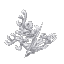 Plant Coral Bush White