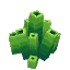 Plant Coral Model Green