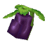 Plant Crop Aubergine Item