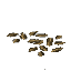 Plant Crop Carrot Block
