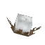 Plant Crop Cotton Item