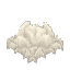 Plant Crop Mushroom Block White Mycelium