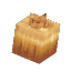 Plant Crop Onion Item