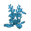 Plant Flower Bushy Blue