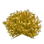 Plant Flower Bushy Yellow