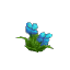 Plant Flower Common Cyan2