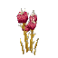 Plant Flower Common Poisoned