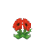 Plant Flower Common Red2