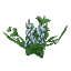 Plant Flower Flax Blue