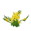 Plant Flower Flax Yellow