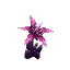 Plant Flower Orchid Purple