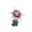 Plant Flower Orchid White