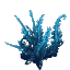 Plant Flower Tall Cyan
