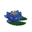Plant Flower Water Blue