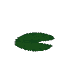 Plant Flower Water Green