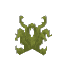 Plant Grass Gnarled