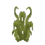 Plant Grass Gnarled Tall
