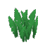 Plant Grass Jungle Tall