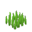 Plant Grass Sharp