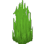 Plant Grass Sharp Overgrown
