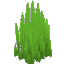 Plant Grass Sharp Wild