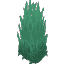 Plant Grass Wet Overgrown