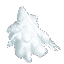 Plant Leaves Fir Snow
