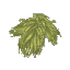 Plant Leaves Gumboab