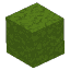 Plant Moss Block Green