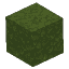 Plant Moss Block Green Dark