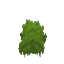 Plant Moss Green