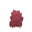Plant Moss Red