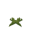 Plant Moss Short Green Dark