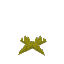 Plant Moss Short Yellow