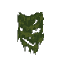Plant Moss Wall Green Dark