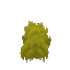 Plant Moss Yellow