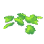 Plant Petals Green