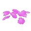 Plant Petals Pink