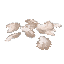 Plant Petals White