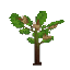 Plant Sapling Apple