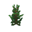 Plant Sapling Spruce