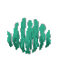Plant Seaweed Grass