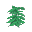 Plant Seaweed Grass Stack