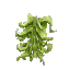 Plant Seaweed Winter Stack